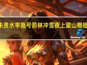 朱贵水亭施号箭林冲雪夜上梁山概括200字