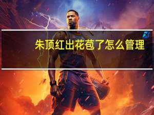 朱顶红出花苞了怎么管理