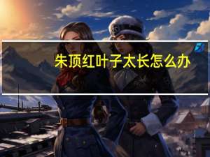 朱顶红叶子太长怎么办