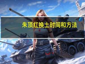 朱顶红换土时间和方法