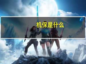 机保是什么