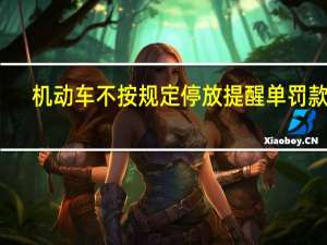 机动车不按规定停放提醒单罚款吗