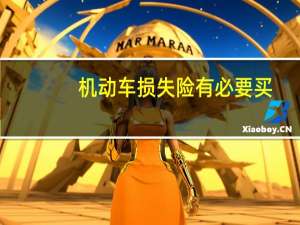 机动车损失险有必要买（机动车损失险有必要买）