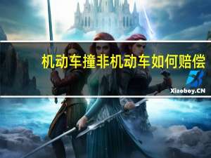 机动车撞非机动车如何赔偿