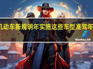 机动车新规明年实施 这些车型准驾年龄延长