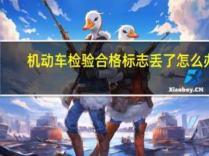 机动车检验合格标志丢了怎么办