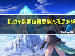 机动车牌照破损更换流程是怎样的