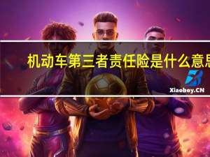 机动车第三者责任险是什么意思