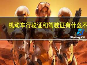 机动车行驶证和驾驶证有什么不同