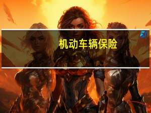 机动车辆保险