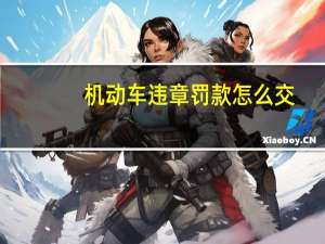 机动车违章罚款怎么交