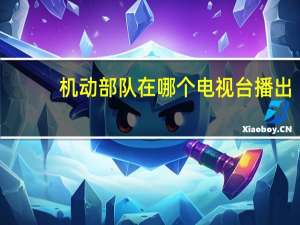 机动部队在哪个电视台播出
