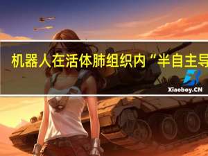 机器人在活体肺组织内“半自主导航”