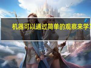 机器可以通过简单的观察来学习