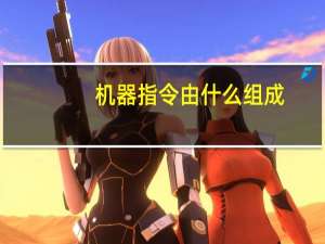 机器指令由什么组成