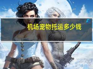 机场宠物托运多少钱