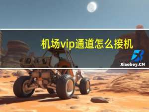 机场vip通道怎么接机