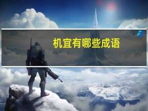 机宜有哪些成语