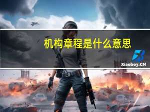 机构章程是什么意思