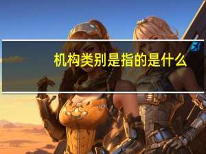 机构类别是指的是什么