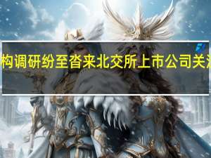 机构调研纷至沓来北交所上市公司关注度升温