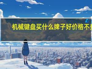 机械键盘买什么牌子好价格不贵（机械键盘买什么牌子好）