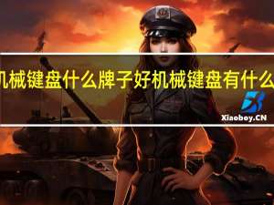 机械键盘什么牌子好 机械键盘有什么牌子好