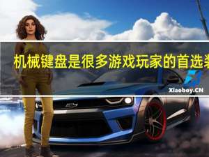 机械键盘是很多游戏玩家的首选装备