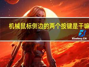 机械鼠标侧边的两个按键是干嘛的（机械鼠标）