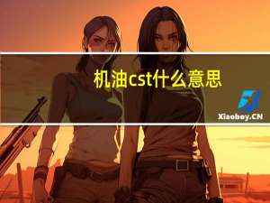 机油cst什么意思