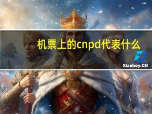 机票上的cnpd代表什么