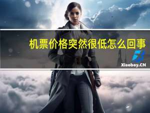 机票价格突然很低怎么回事