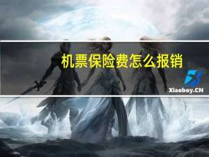机票保险费怎么报销