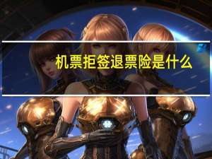 机票拒签退票险是什么