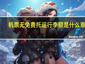 机票无免费托运行李额是什么意思