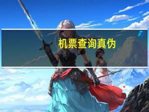 机票查询真伪