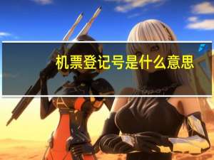 机票登记号是什么意思
