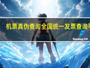 机票真伪查询全国统一发票查询平台（机票真伪查询）