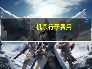 机票行李费用