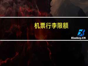 机票行李限额