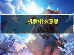 机票t什么意思