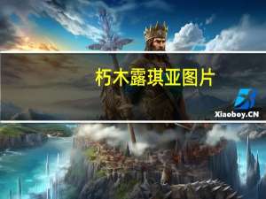 朽木露琪亚图片（朽木露琪亚本子）