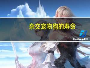 杂交宠物狗的寿命