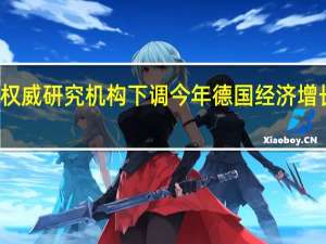 权威研究机构下调今年德国经济增长预期