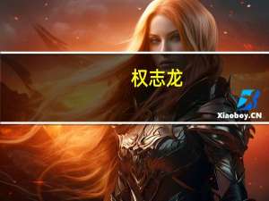 权志龙（关于权志龙的介绍）