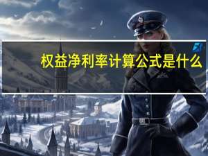 权益净利率计算公式是什么
