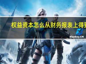 权益资本怎么从财务报表上得到（权益资本是什么）