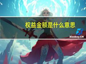 权益金额是什么意思