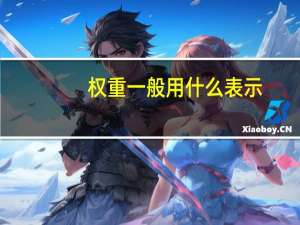 权重一般用什么表示（权重是什么意思?可以介绍一下吗）