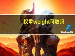 权重weight可数吗